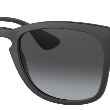 Ray-Ban RB4221 622/8G
