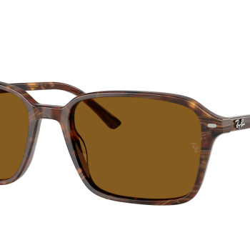 Ray-Ban Raimond RB2231 141833
