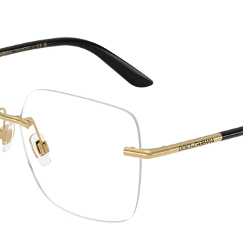 Dolce & Gabbana DG1360 02