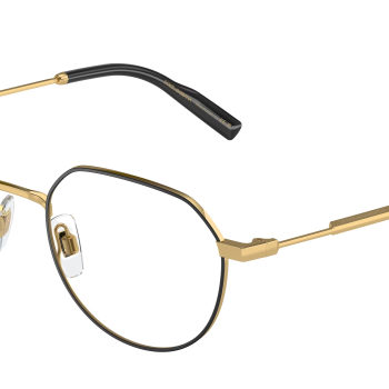 Dolce&Gabbana DG1349 1311