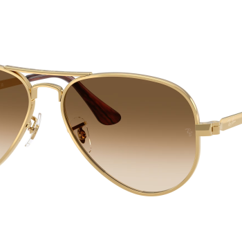 Ray-Ban Aviator Max RB3925 001/51