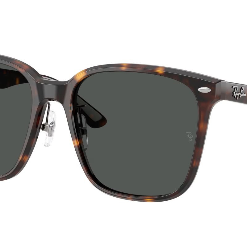 Ray-Ban RB2206D 710/87