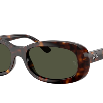 Ray-Ban RB2221 902/31