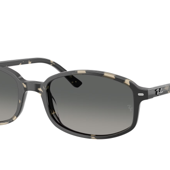 Ray-Ban RB2232 133371