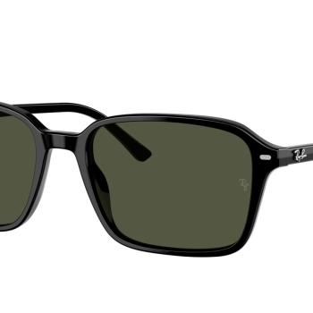 Ray-Ban Raimond RB2231 901/31