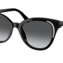 Swarovski SK6031 1001T3 Polarized