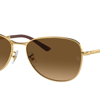 Ray-Ban RB3733 001/M2 Polarized