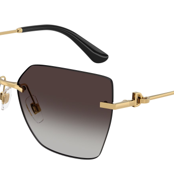 Dolce&Gabbana DG2321 02/8G