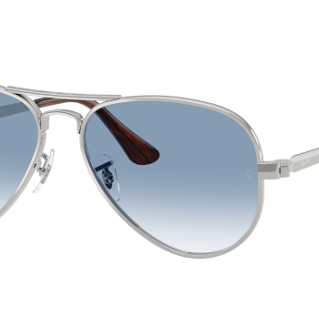 Ray-Ban Aviator Max RB3925 003/3F