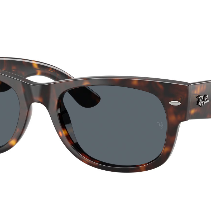 Ray-Ban Mega Wayfarer II RB0832S 902/R5