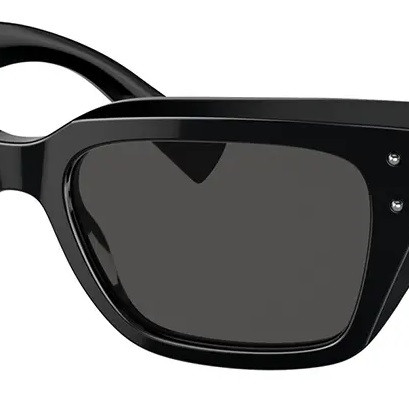 Dolce&Gabbana DG4462 501/87