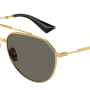 Dolce&Gabbana DG2302 02/R5