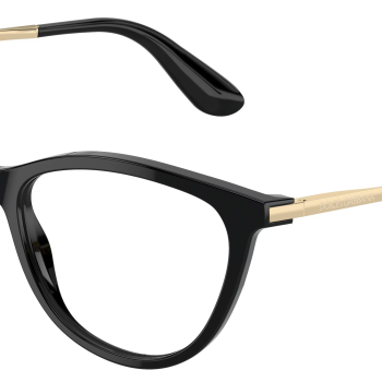 Dolce&Gabbana DG3258 501