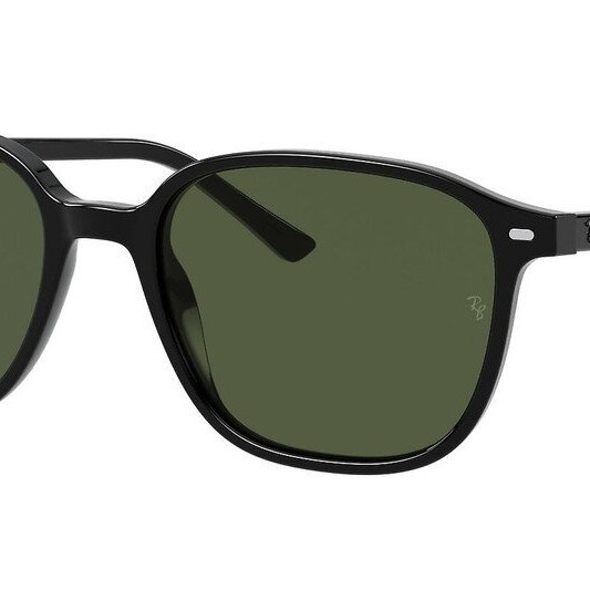 Ray-Ban  Leonard RB2193 901/31