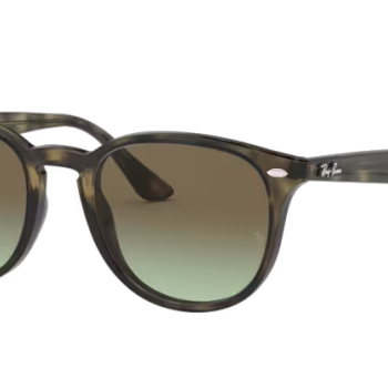 Ray-Ban RB4259 731/E8
