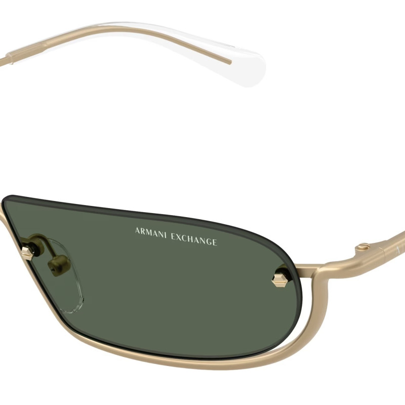 Armani Exchange AX2058S 612171
