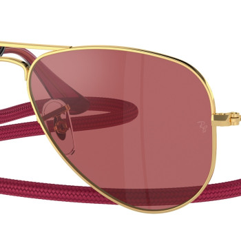 Ray-Ban RJ9506S 223/B5