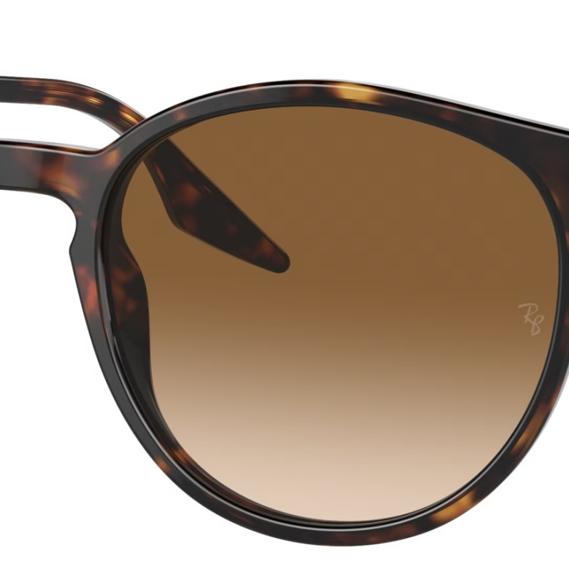 Ray-Ban RB2204 902/51