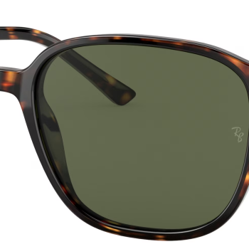 Ray-Ban  Leonard RB2193 902/31