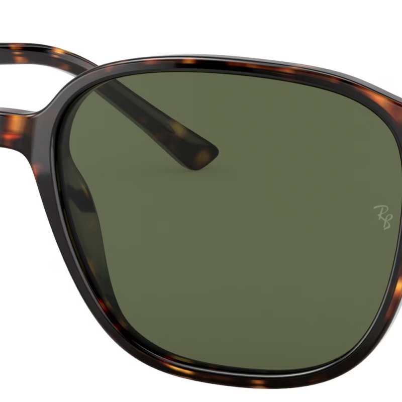 Ray-Ban  Leonard RB2193 902/31