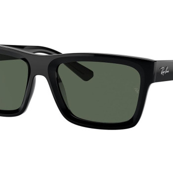 Ray-Ban Warren RB4396 667771