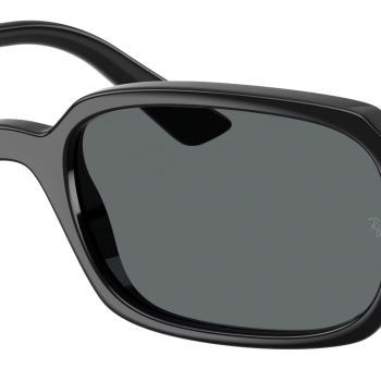 Ray-Ban Zuri RB4455 667781 Polarized.