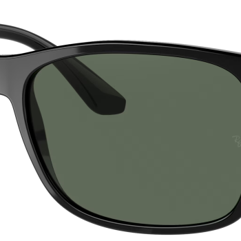 Ray-Ban RB4232 601/71