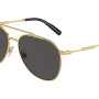 Dolce&Gabbana DG2296 02/87