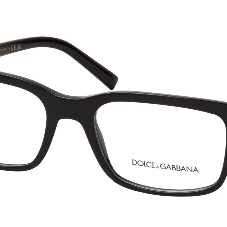 Dolce&Gabanna DG3352 501