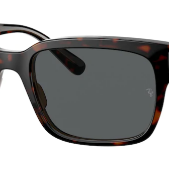 Ray-Ban RB2190 1292B1