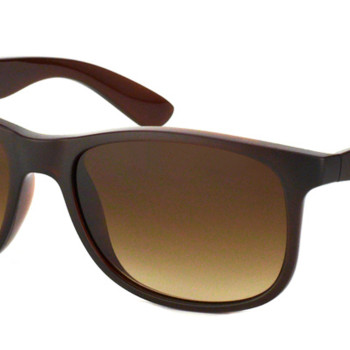 Ray-Ban Andy RB4202 607313