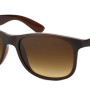 Ray-Ban Andy RB4202 607313