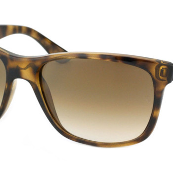 Ray-Ban RB4181 710/51­